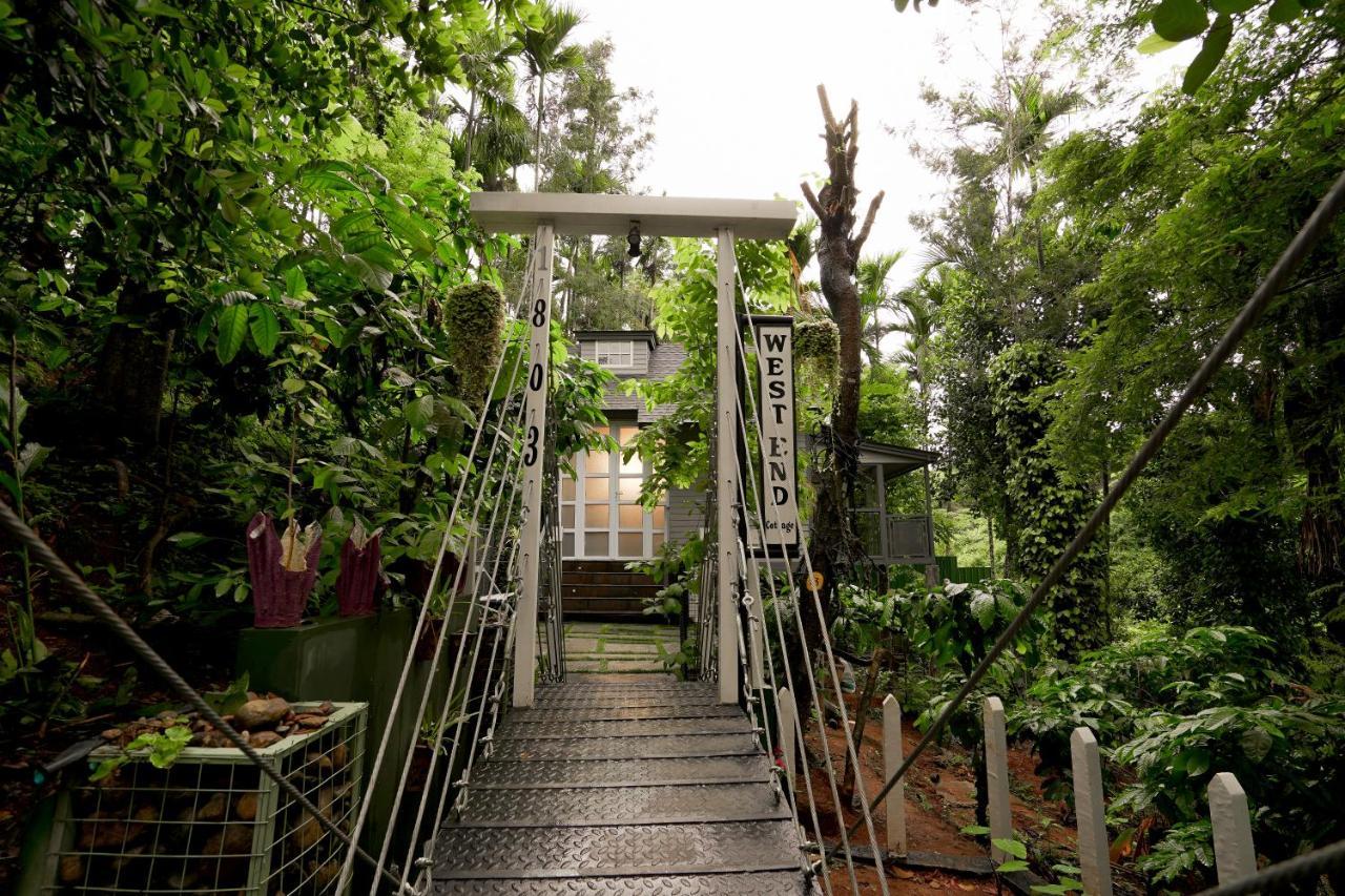 Iron Bridge Cove Villa Meppadi ภายนอก รูปภาพ