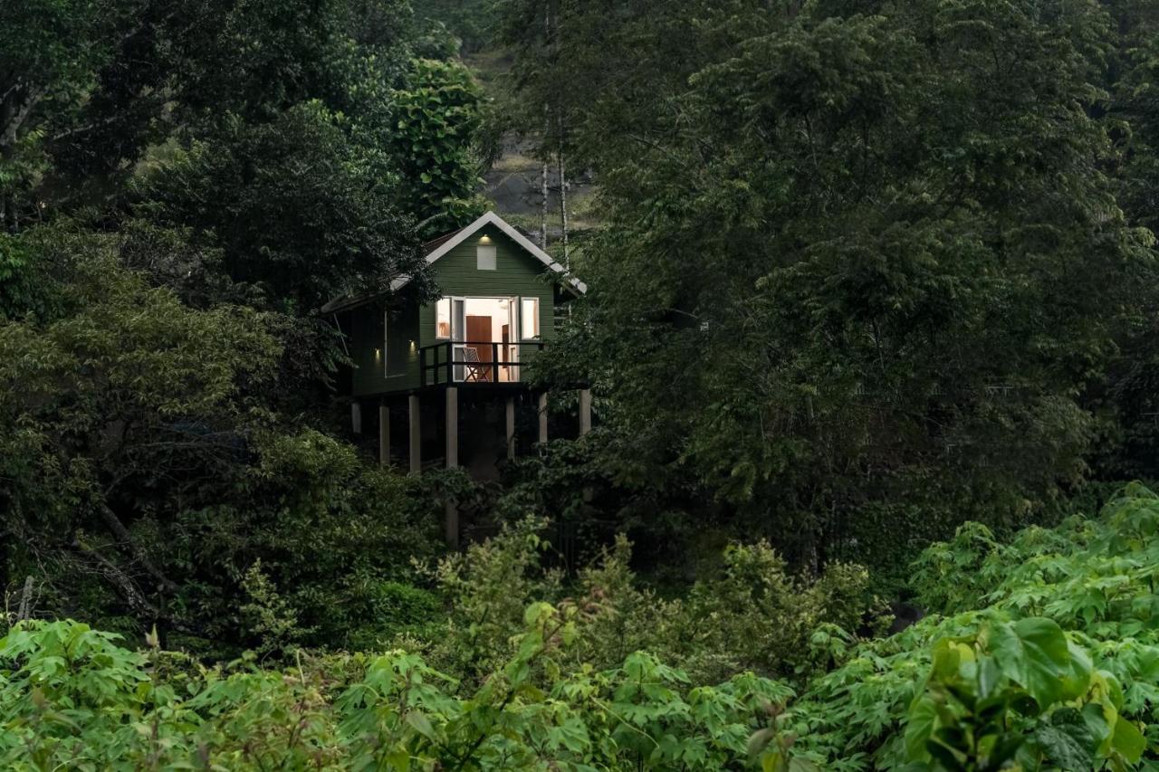 Iron Bridge Cove Villa Meppadi ภายนอก รูปภาพ